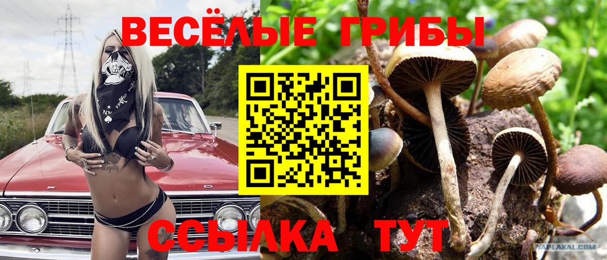 Псилоцибиновые грибы MAGIC MUSHROOMS  Вход с VPN  Майкоп 
