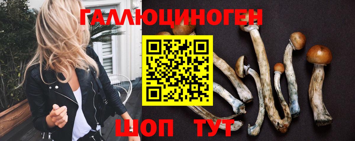 Каннабис  Гашиш  Alpha-PVP СК кристаллы  Майкоп  Вход с VPN  КОКАИН  Где купить  ГАШИШ  Мефедрон кристаллы 